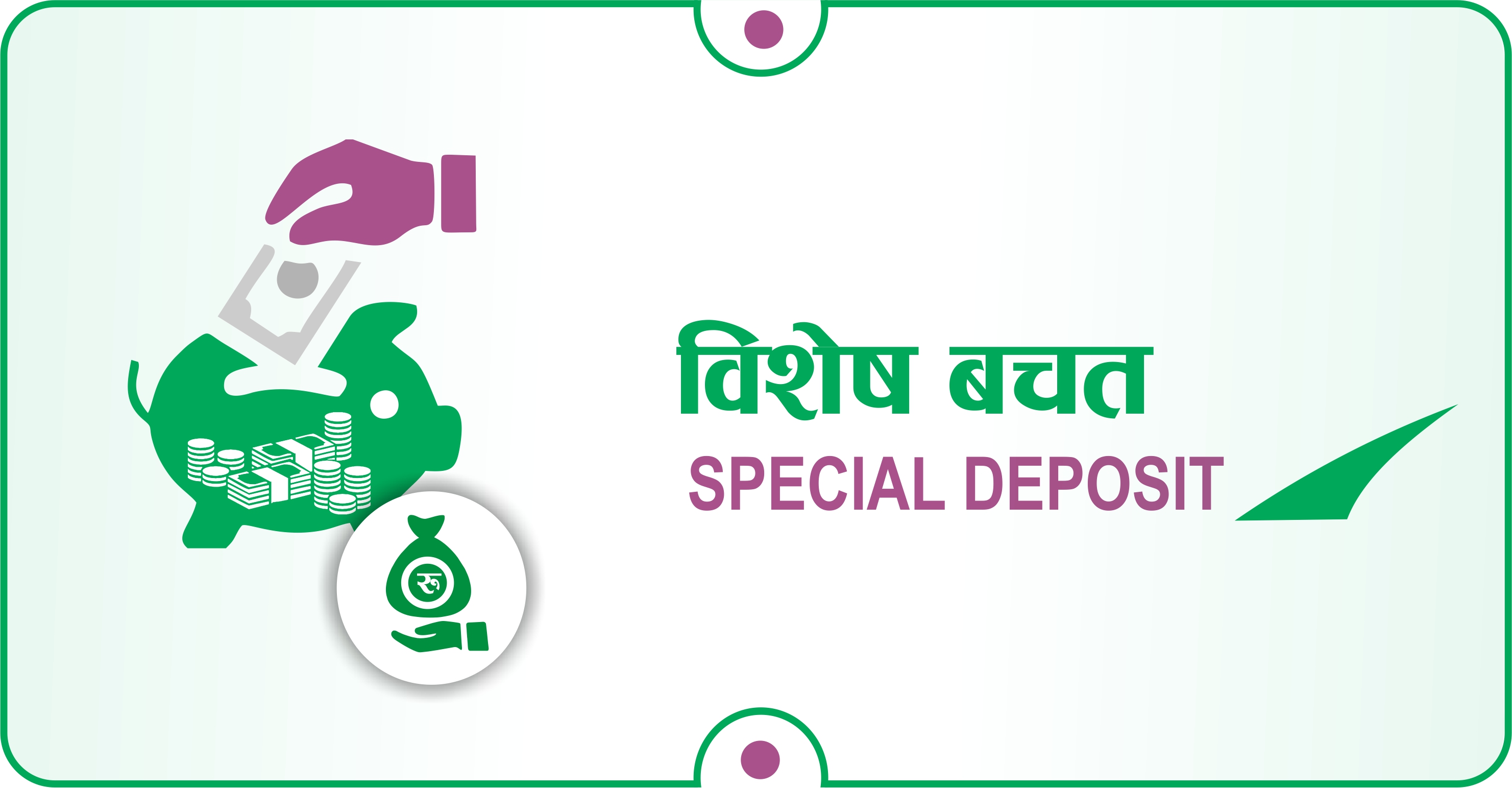 विशेष बचत
