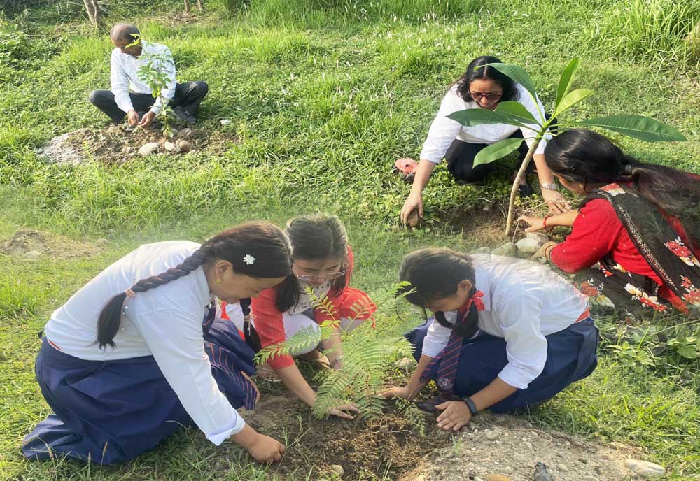 मेची सहकारीद्वारा वातावरण दिवसको अवसरमा ५० बढी बिरुवा रोपियो